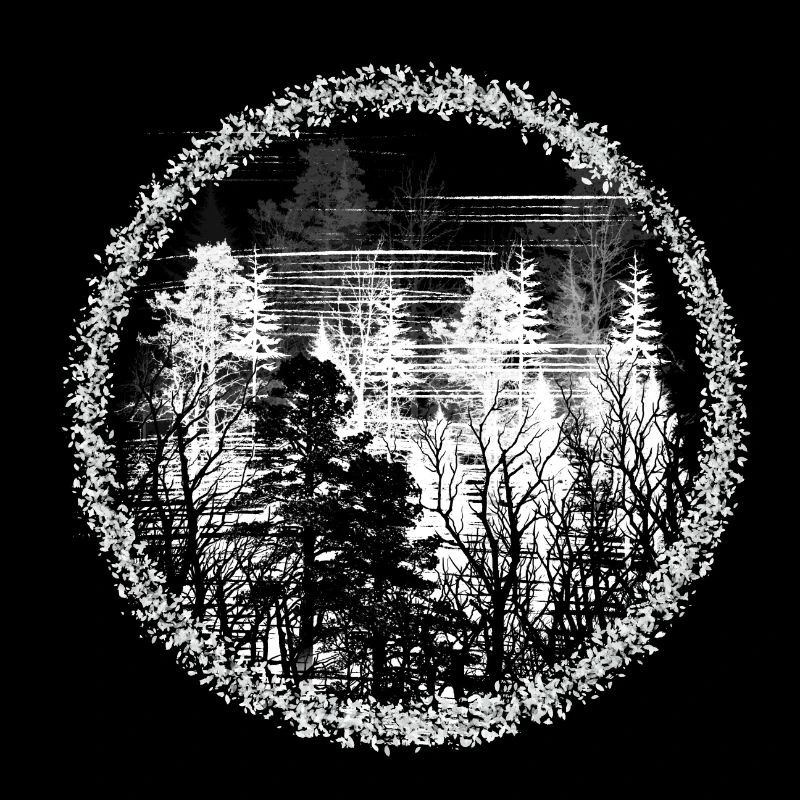 Forest Circle Silhouette Forest Landscape