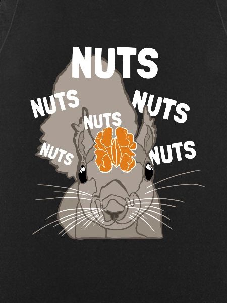 Nuts Brain Fuchshörnchen Grauhörnchen Squirrel