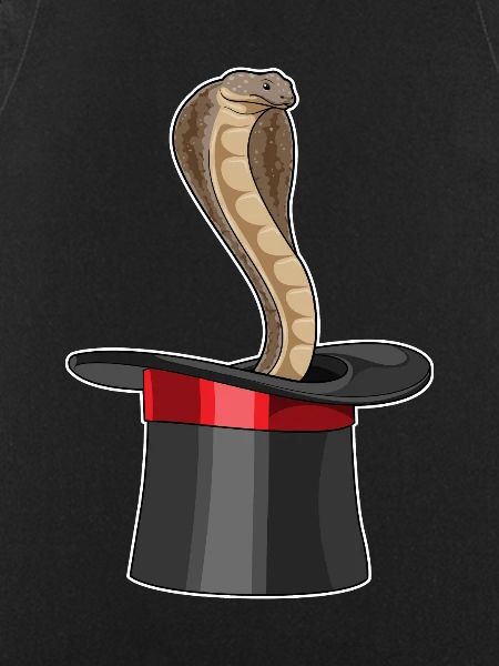 Snake Wizard Cylinder