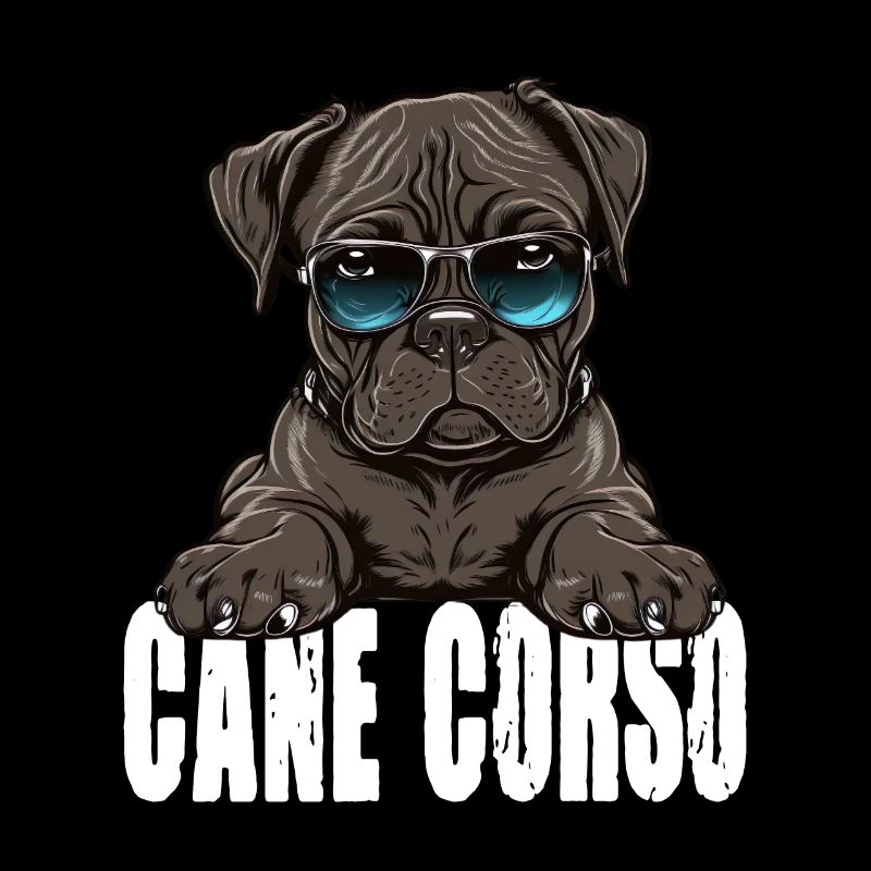 Cane Corso Welpe für einen Cane Corso Besitzer