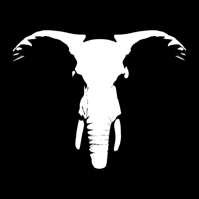 African elephant head
