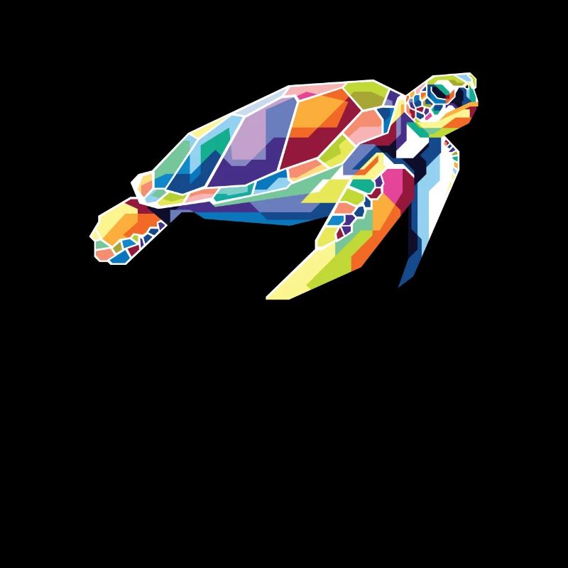 Polygon Tortoise Aquatic Turtle