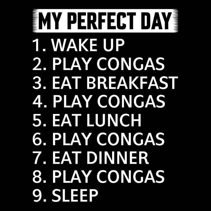 My Perfect Day Conga Drums Conga Player