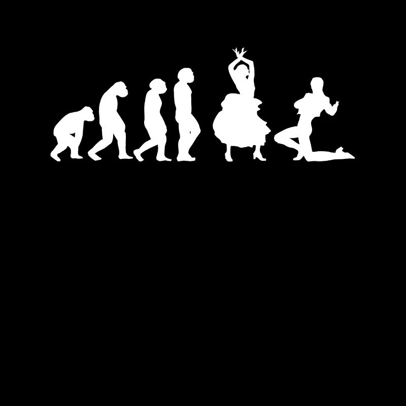 Flamenco Dancer Flamenco Dance Evolution