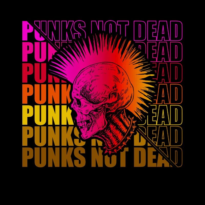 Punk Rock Pogo Anarchy Punks Punk Rocker Punk