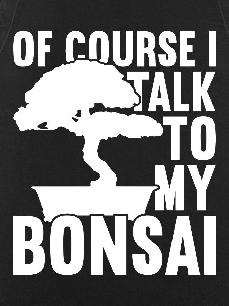 Bonsai Tree