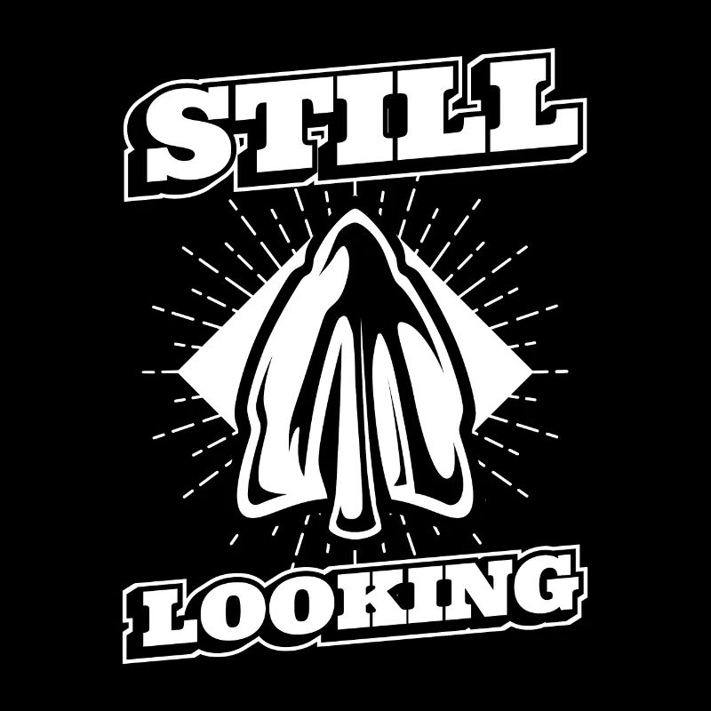 Still Looking Arrowhead Collecting Hunting Tips