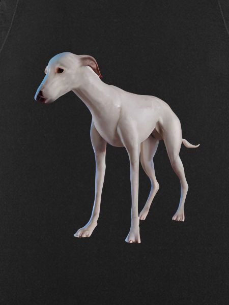 Greyhound Dog