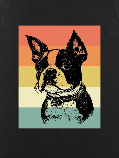 Boston Terrier