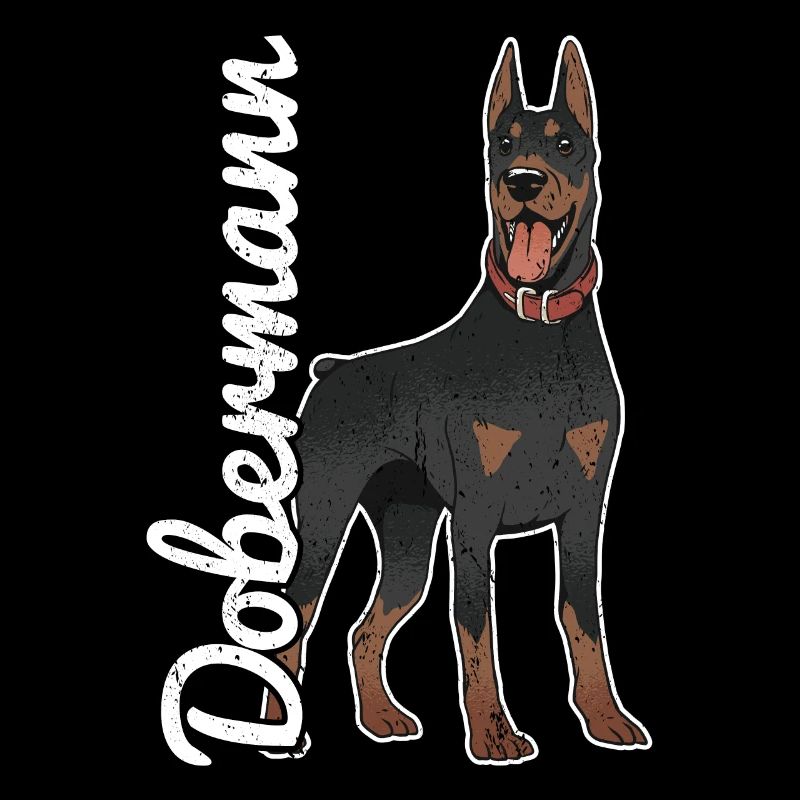 Dobermann Chien Doberman