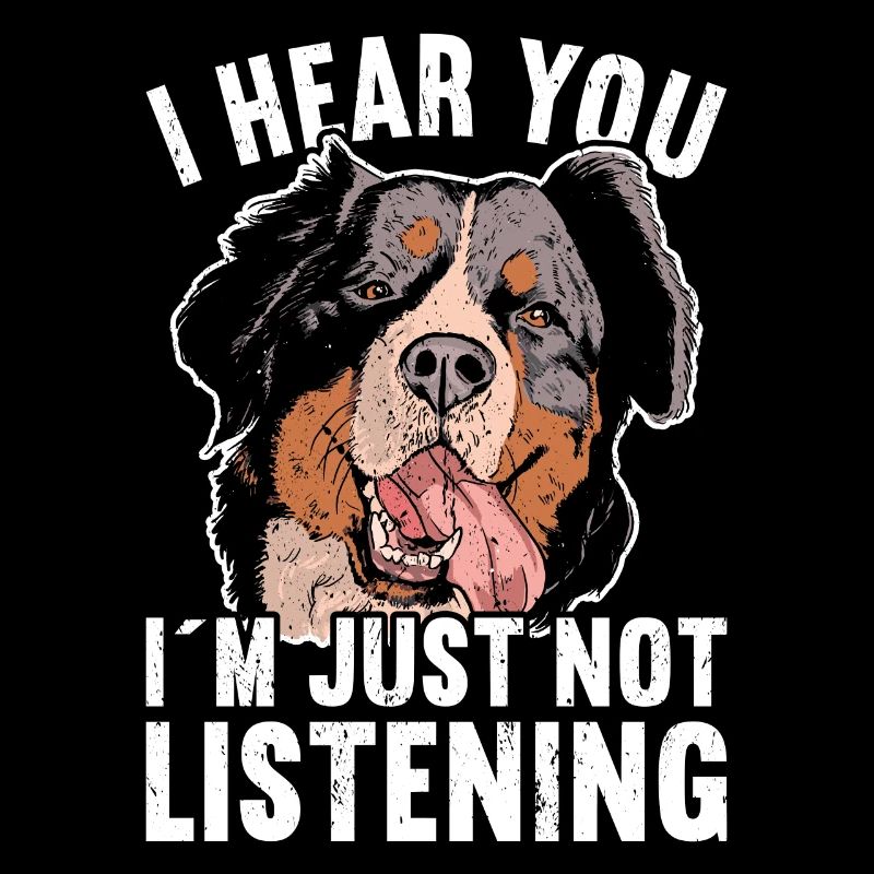 Bernese Mountain Dog