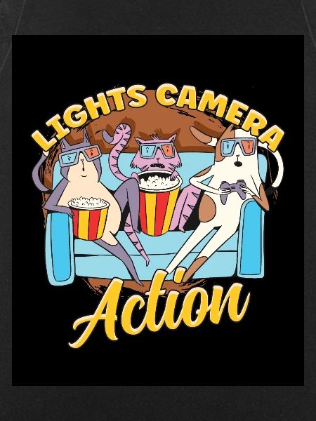 Ligts Camera Action