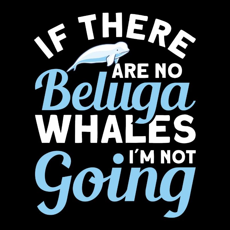 Beluga Whale Beluga Whale Whale Watching Dolphin Dolphin