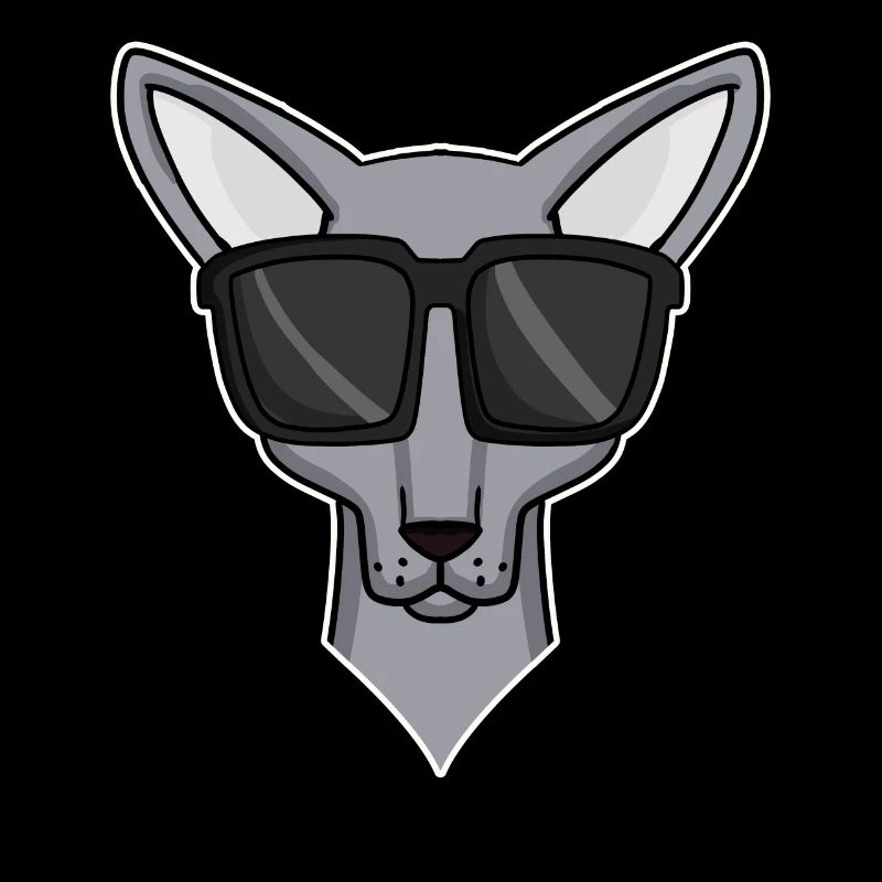 chat cool avec des lunettes de soleil - race de chat Sphynx