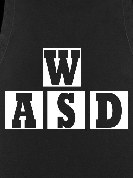 W A S D