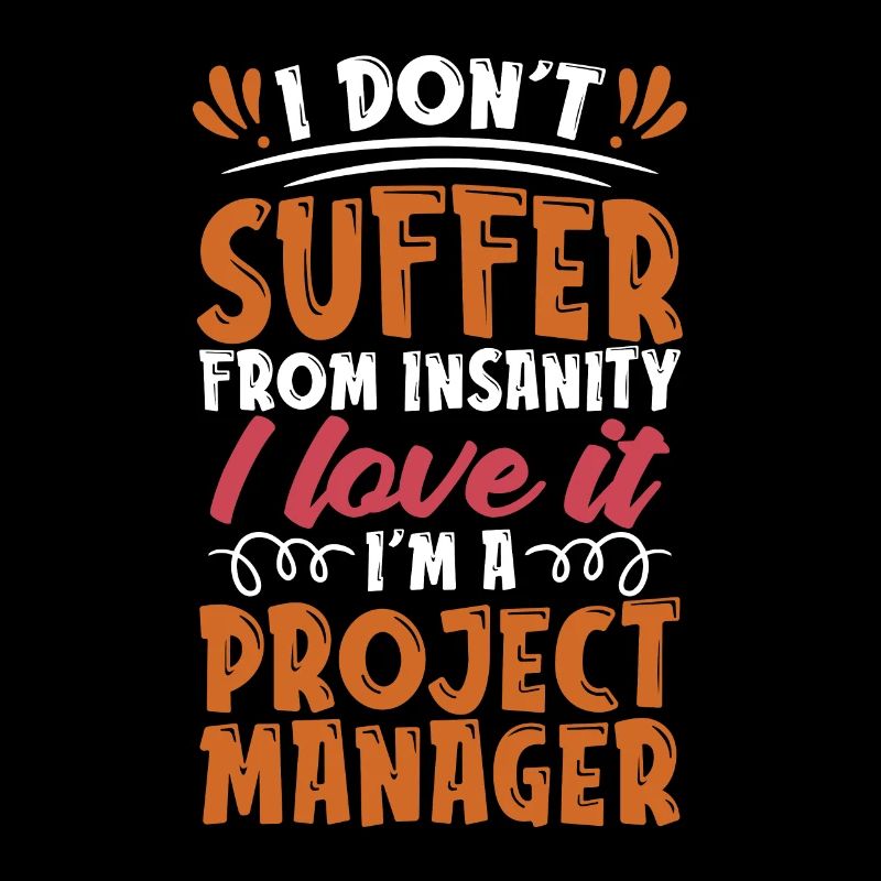 Project Management I Don't Suffer From Team Leader