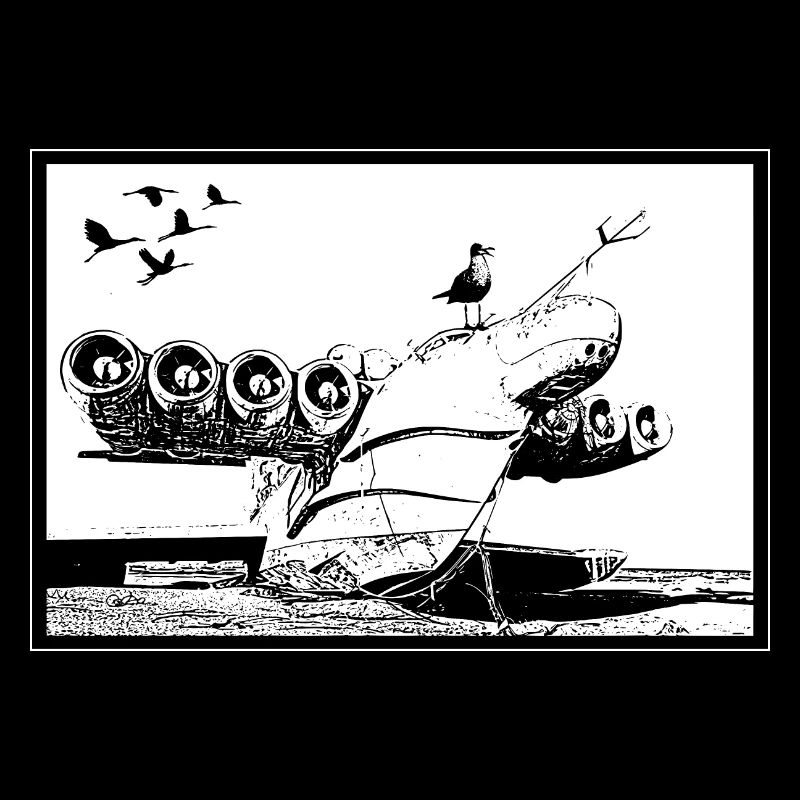 Epave d'avion