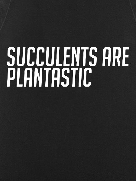Succulents are fantastic