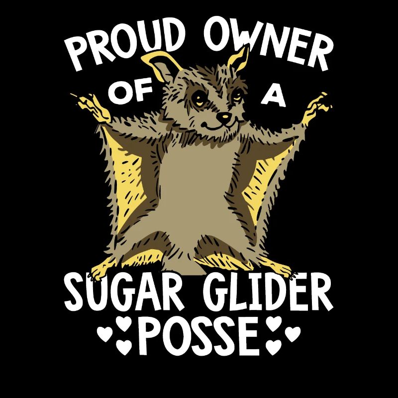 Fier propriétaire de Sugar Glider Propriétaire Sugar