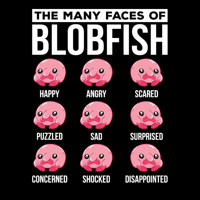 Many faces of the Blobfish owner Blobfish