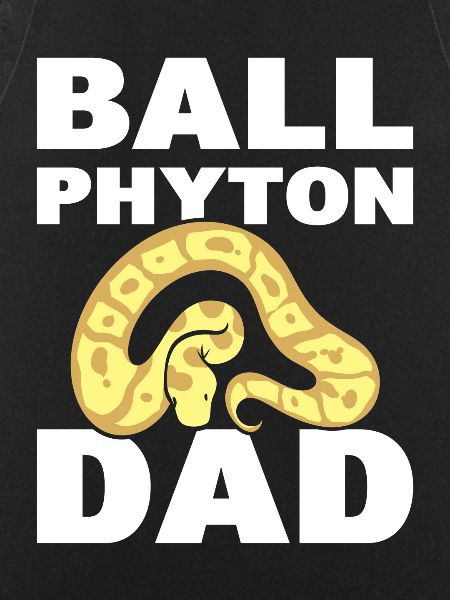 Ball Python Dad Serpentologe