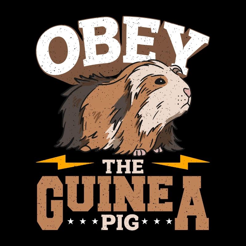 Cochon d’Inde Obéir à l’amoureux des animaux du cochon d’Inde Cavy