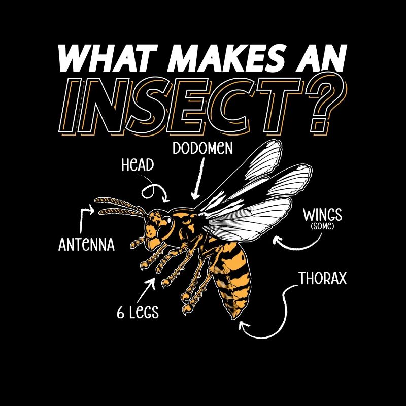 Entomologist What Makes An Insect Entomological