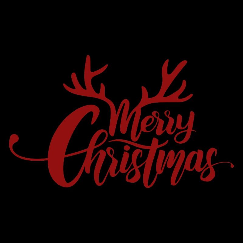Joyeux Noël - Lettrage avec bois de cerf