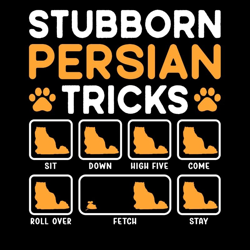 Stubborn Tricks Persian Cat