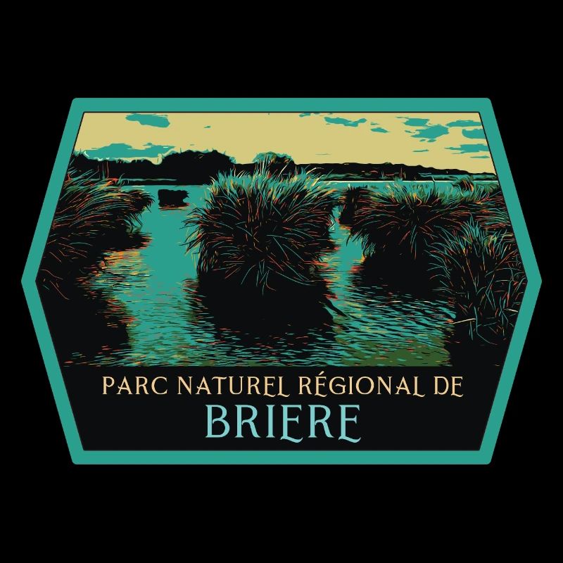 Marais Parc naturel de Brière: Authentic Nature