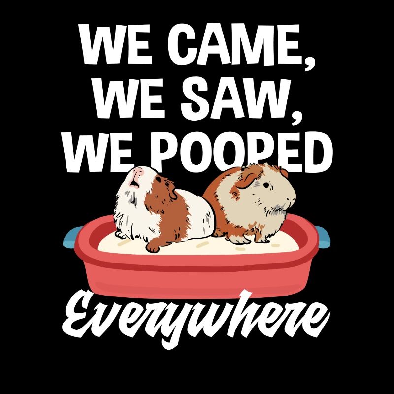 Funny guinea pig saying