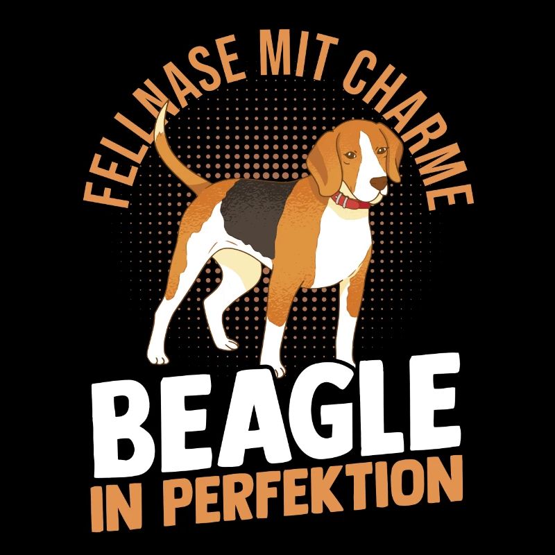 Dog Beagle