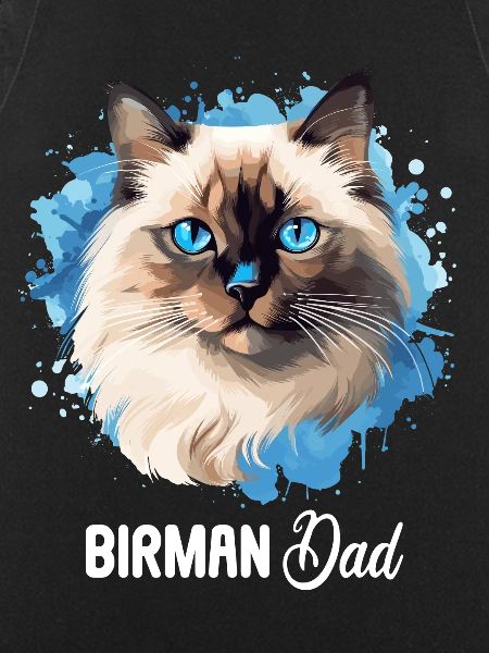 Birman Cat Birma Katze