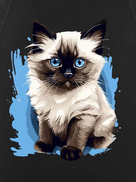 Birman Cat Birma Katze