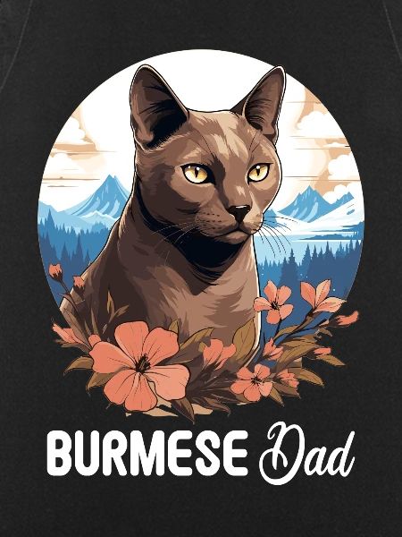 Burmese Cat Burma Katze