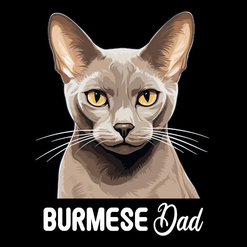 Burmese Cat Burma Katze