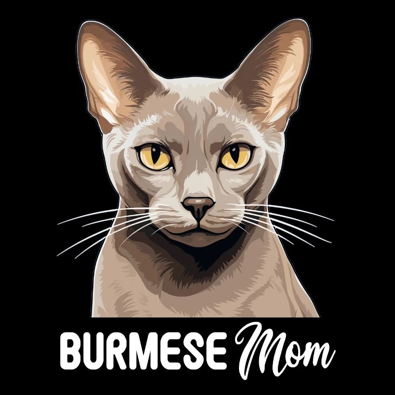 Burmese Cat Burma Katze
