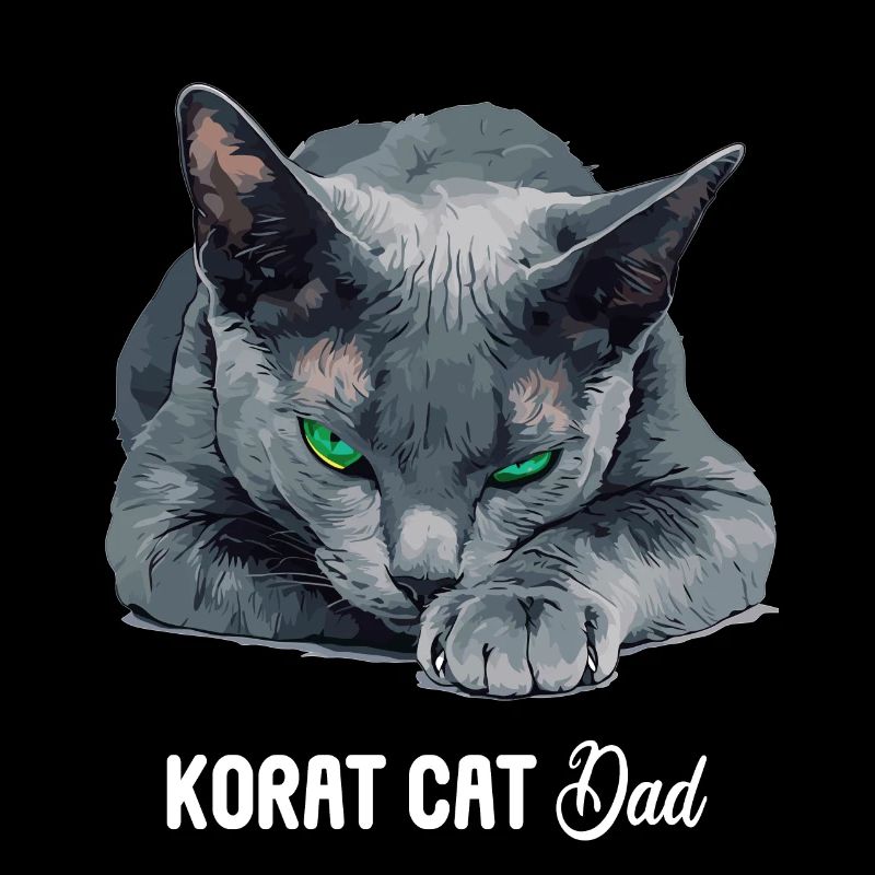 Korat Chaton Korat Chat