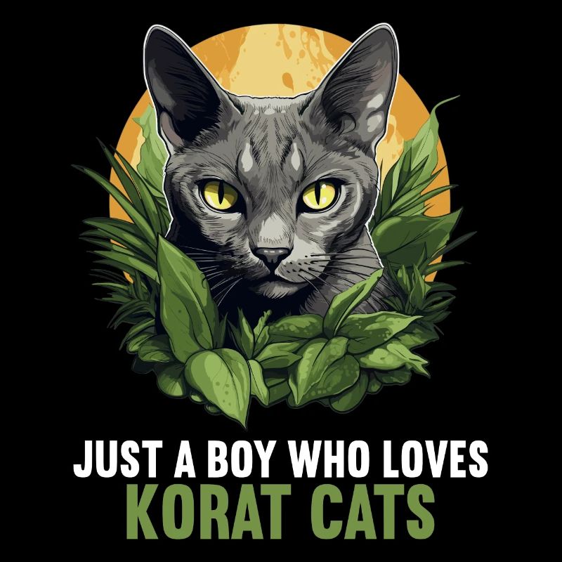 Korat Chaton Korat Chat