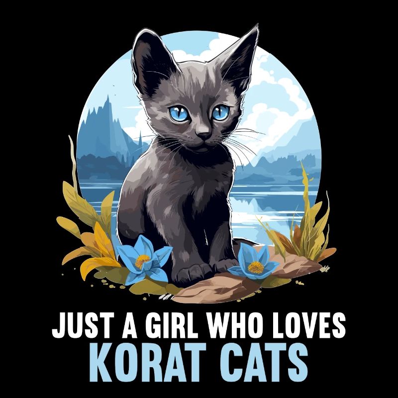 Korat Chaton Korat Chat
