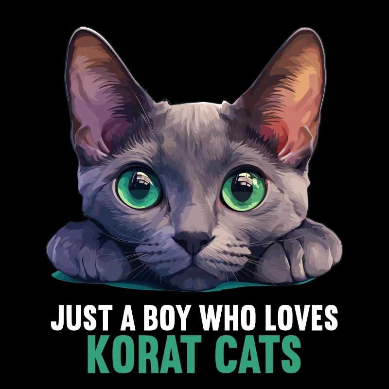 Korat Chaton Korat Chat