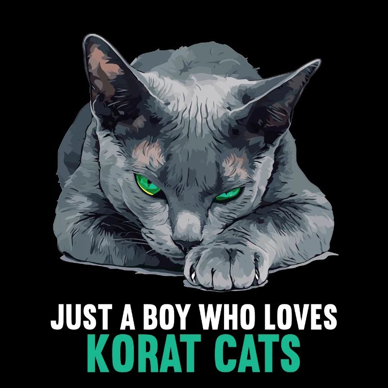 Korat Chaton Korat Chat