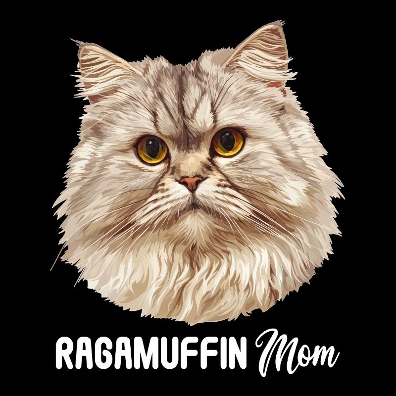 Ragamuffin Kätzchen Ragamuffin Katze