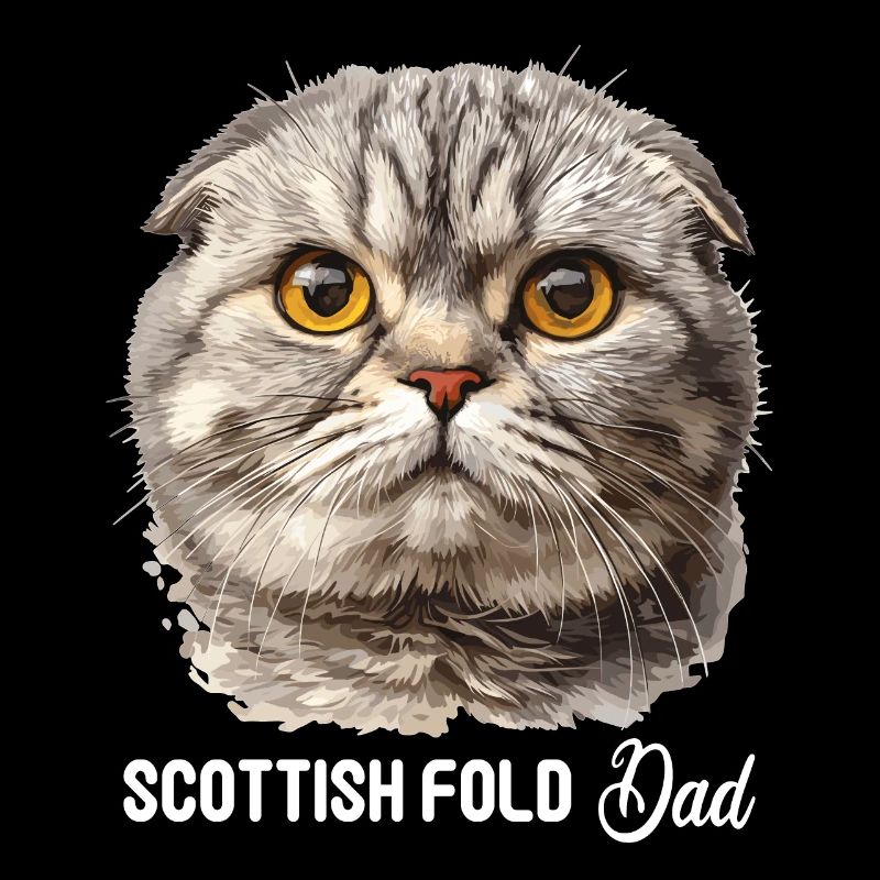 Scottish Fold Kitten Scottish Fold Cat