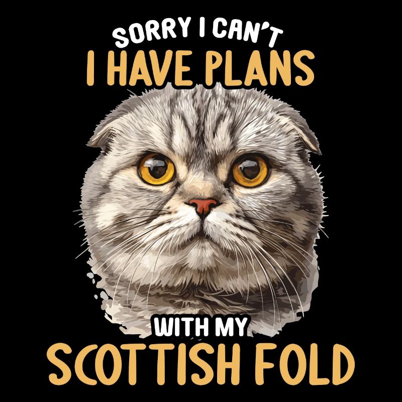 Scottish Fold Kitten Scottish Fold Cat