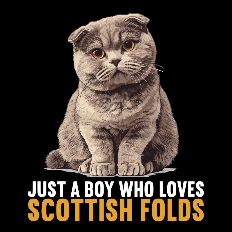 Scottish Fold Kätzchen Scottish Fold Katze