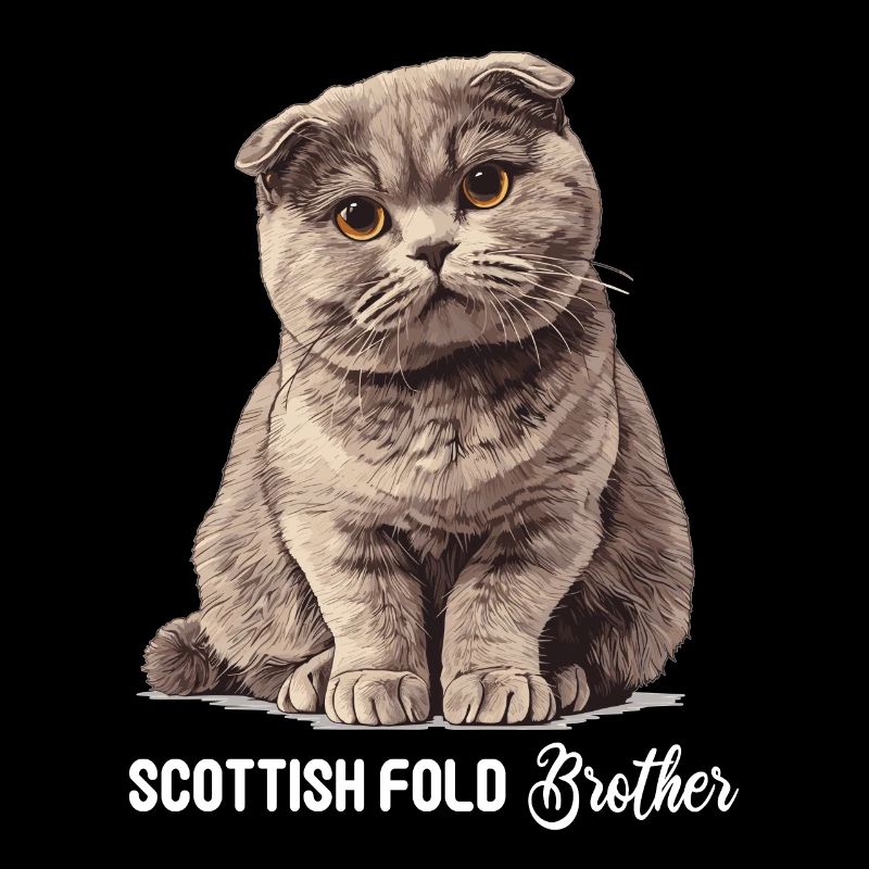 Scottish Fold Kitten Scottish Fold Cat
