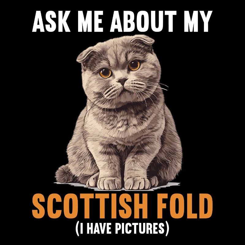 Scottish Fold Kitten Scottish Fold Cat