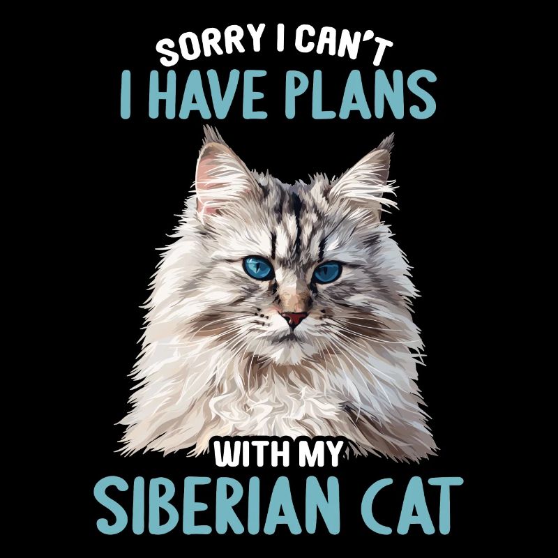 Chat Sibérien Sibirische Katze
