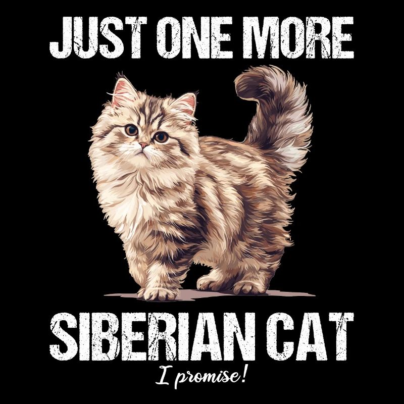 Chat Sibérien Sibirische Katze